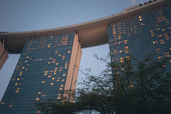 Comment protéger votre adresse IP